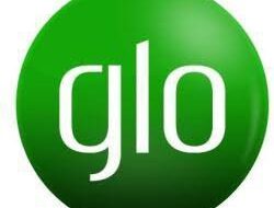 How To Share Data On Glo Network